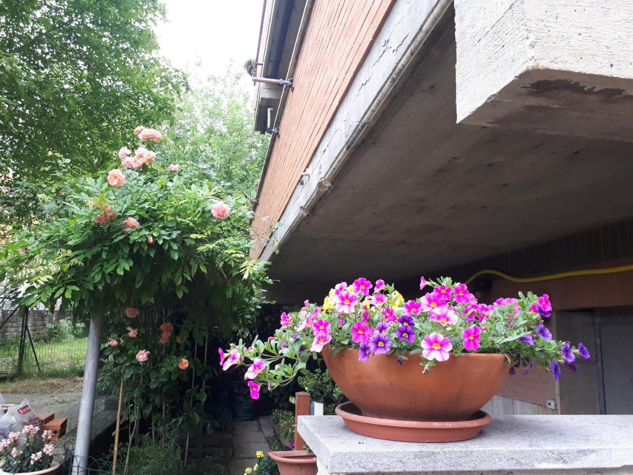 B&B Papa Leone Countryrooms Ρώμη Εξωτερικό φωτογραφία