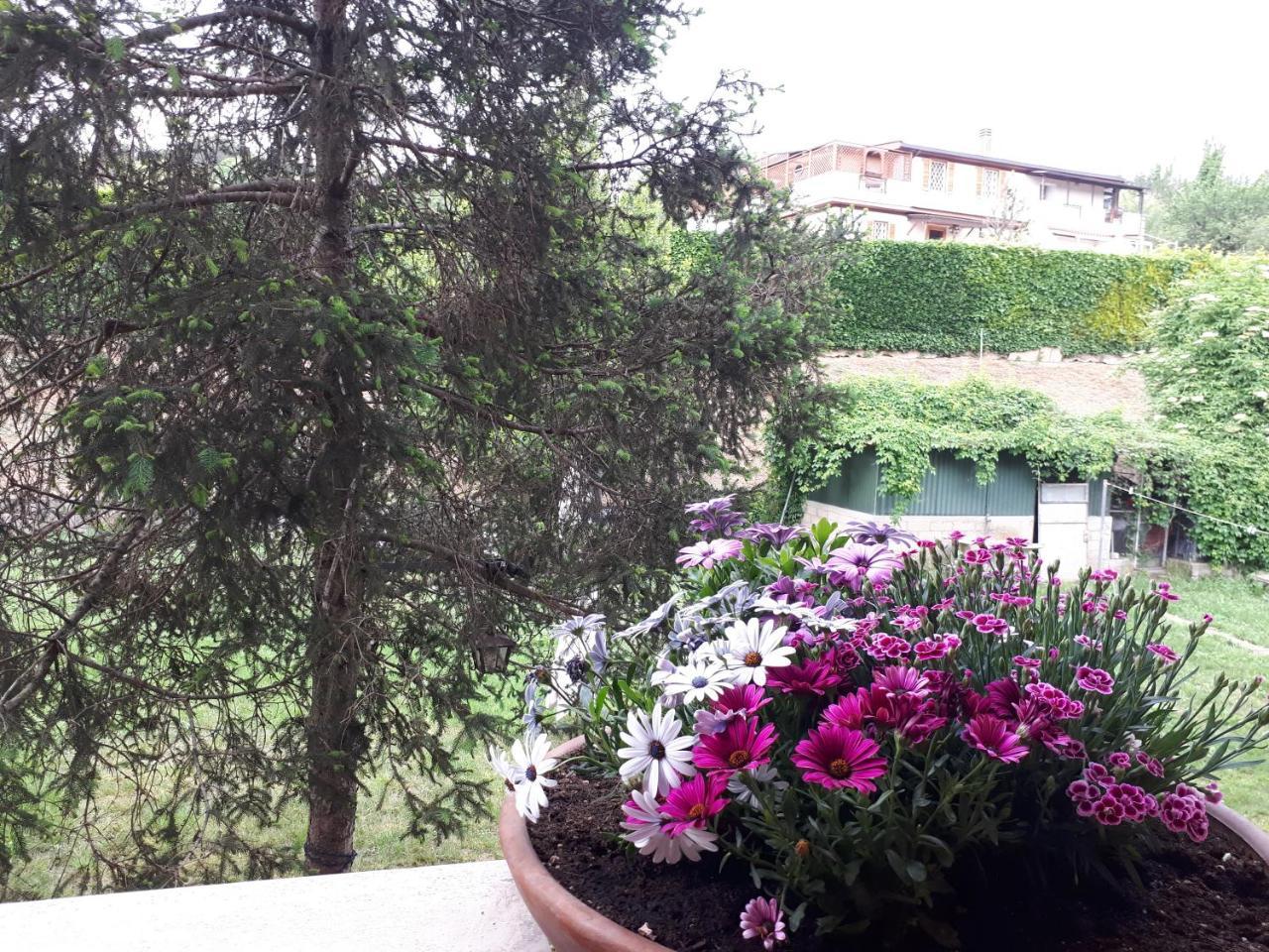 B&B Papa Leone Countryrooms Ρώμη Εξωτερικό φωτογραφία