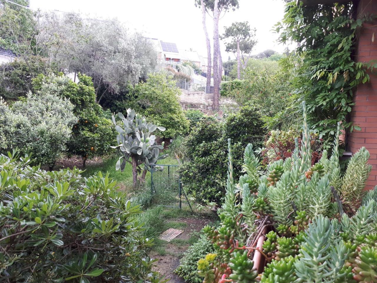 B&B Papa Leone Countryrooms Ρώμη Εξωτερικό φωτογραφία